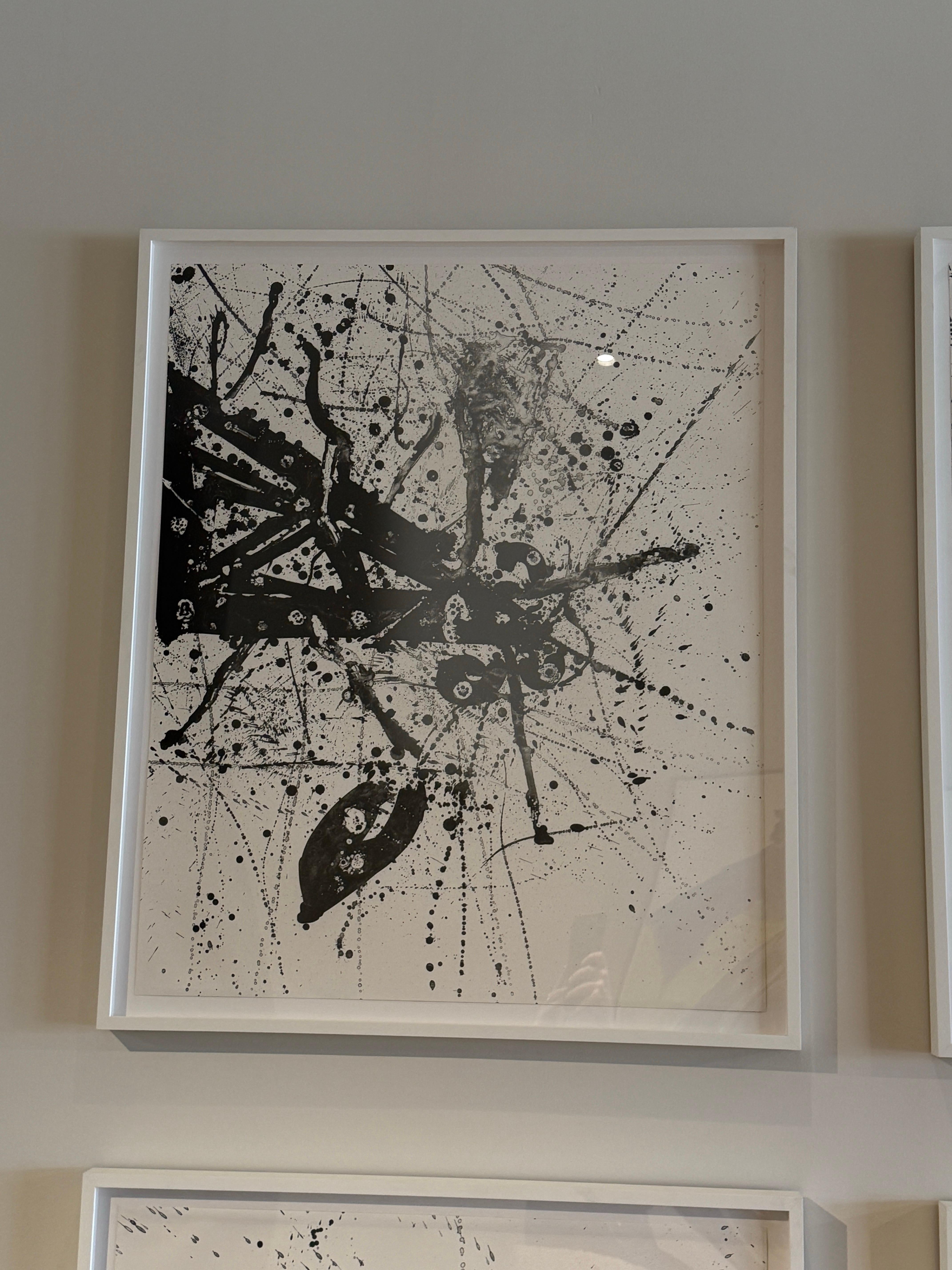 Sam Francis 