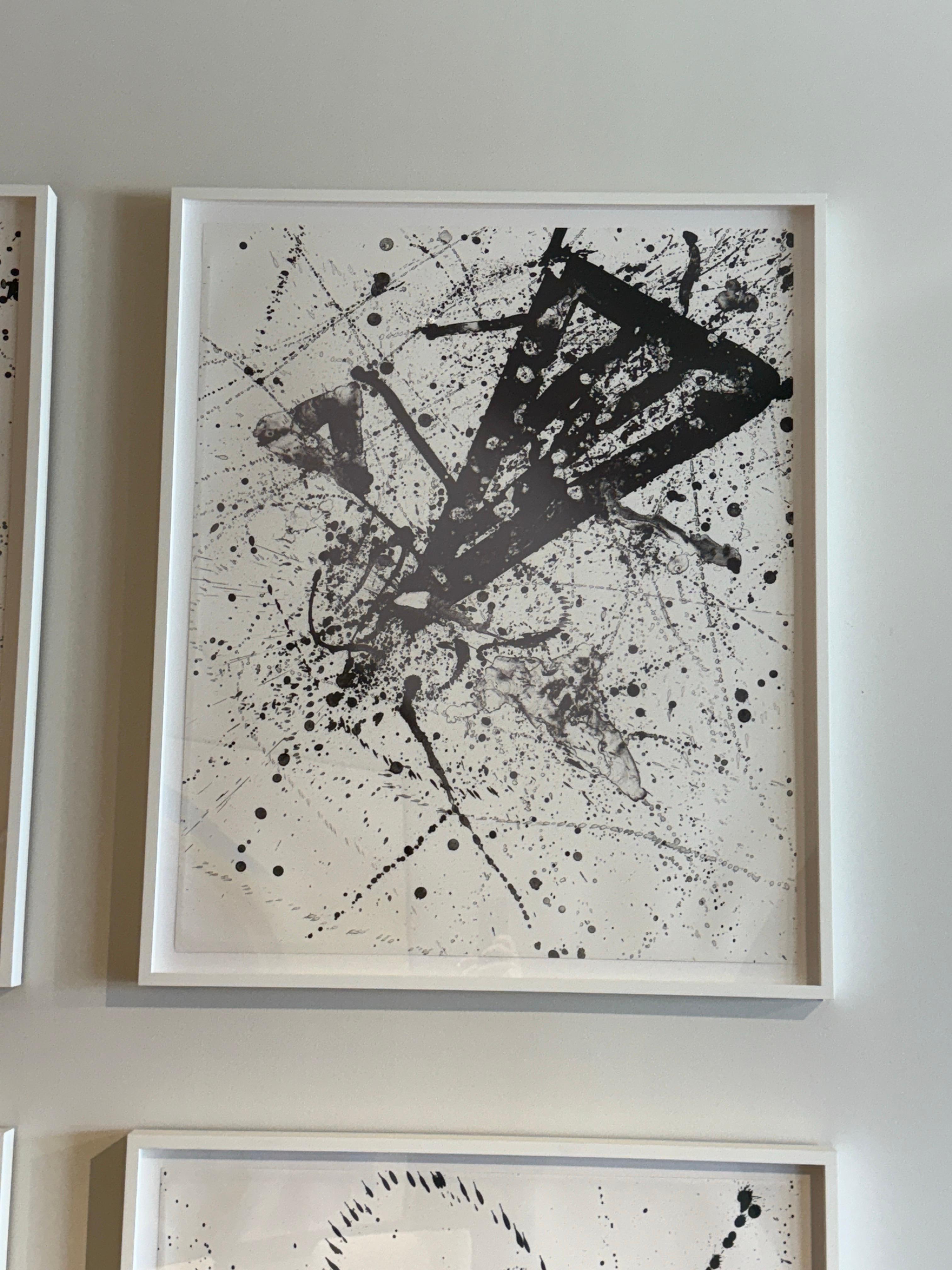 Sam Francis 