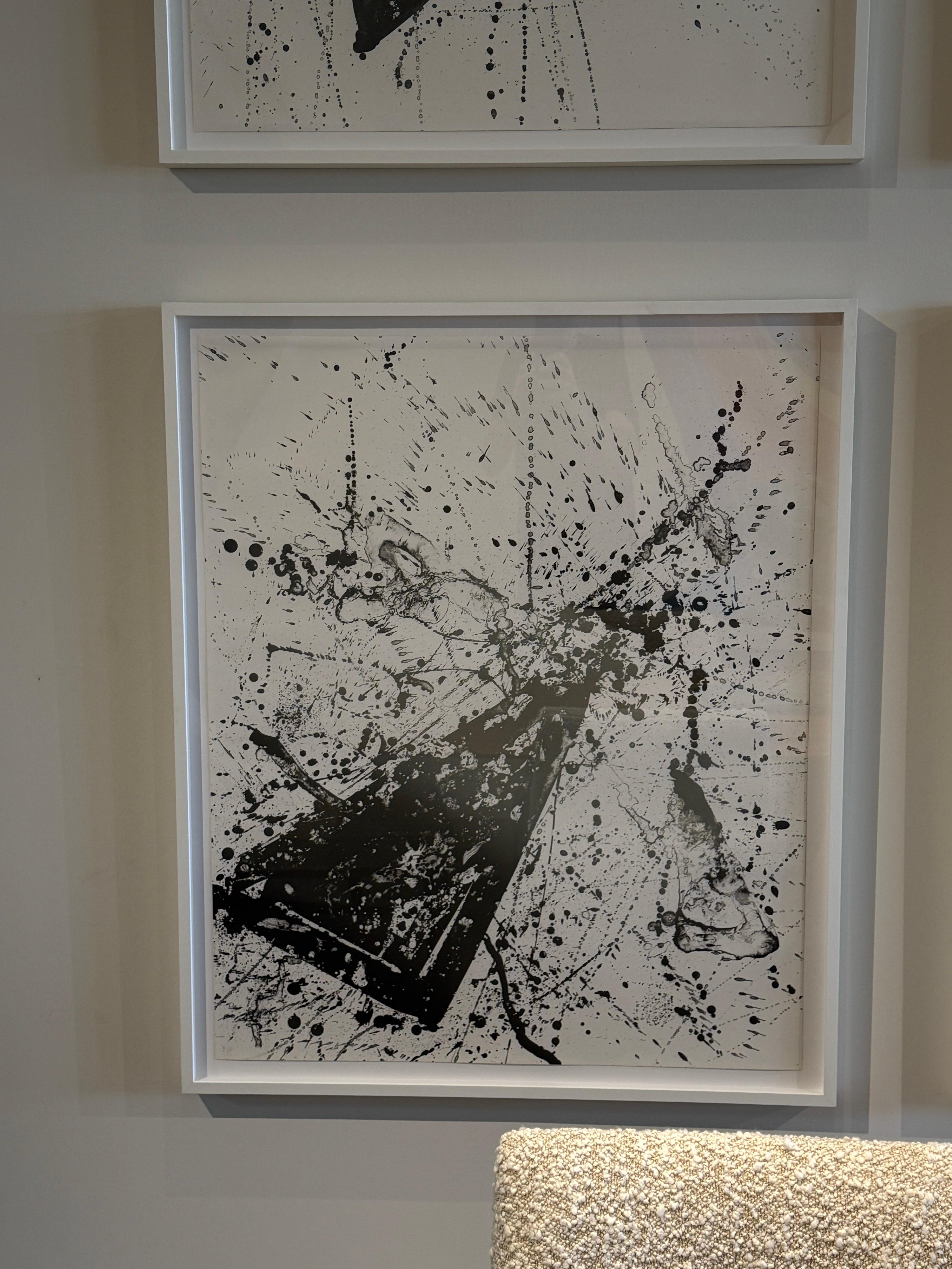 Sam Francis 