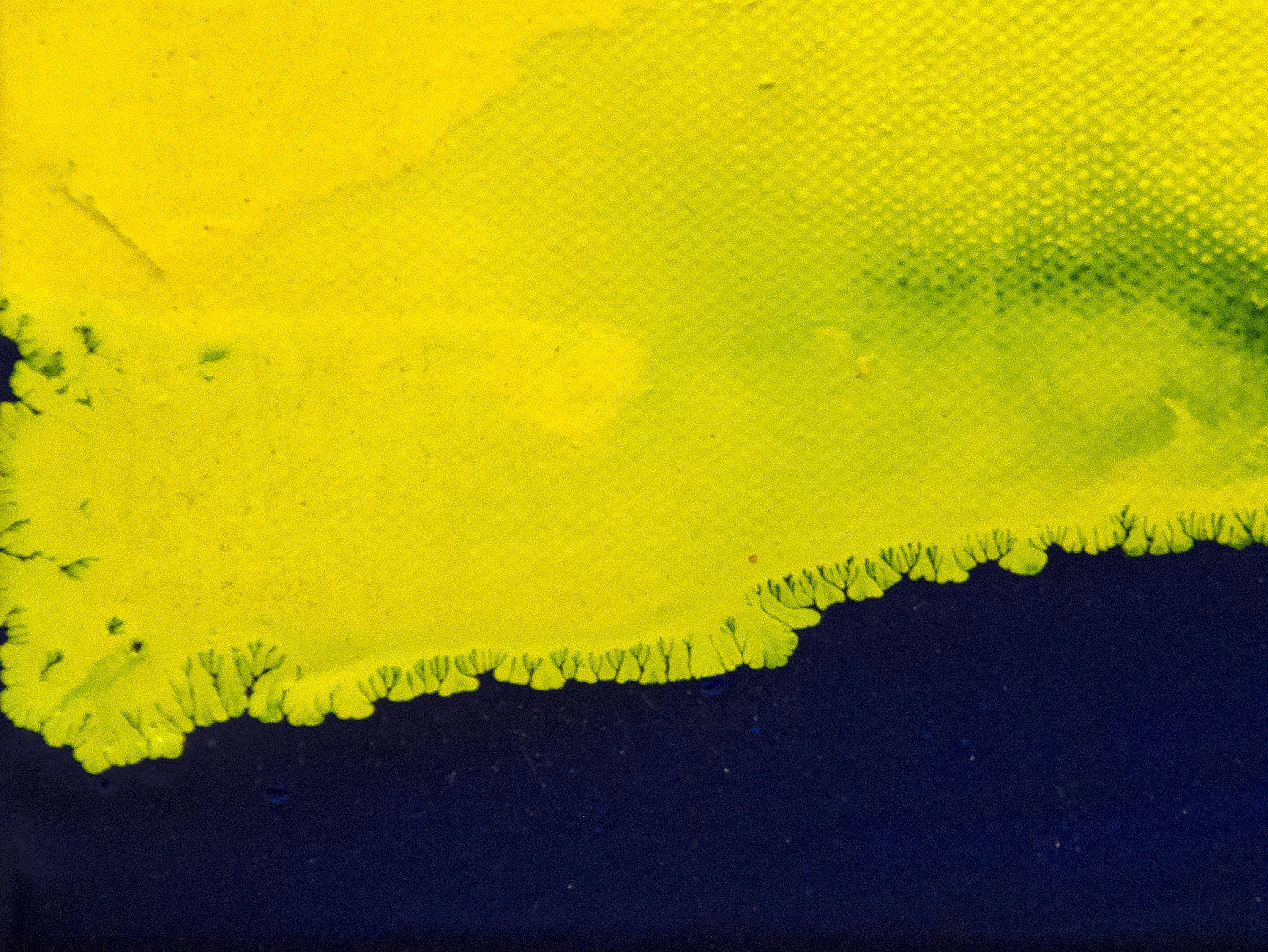 Ducat - Yellow Abstract Painting by Sam Francis
