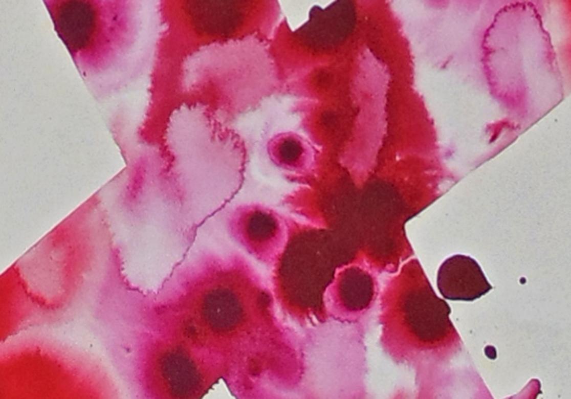 Senza titolo SF78-94, 1978 (acrilico rosso) - Abstract Painting Grigio di Sam Francis