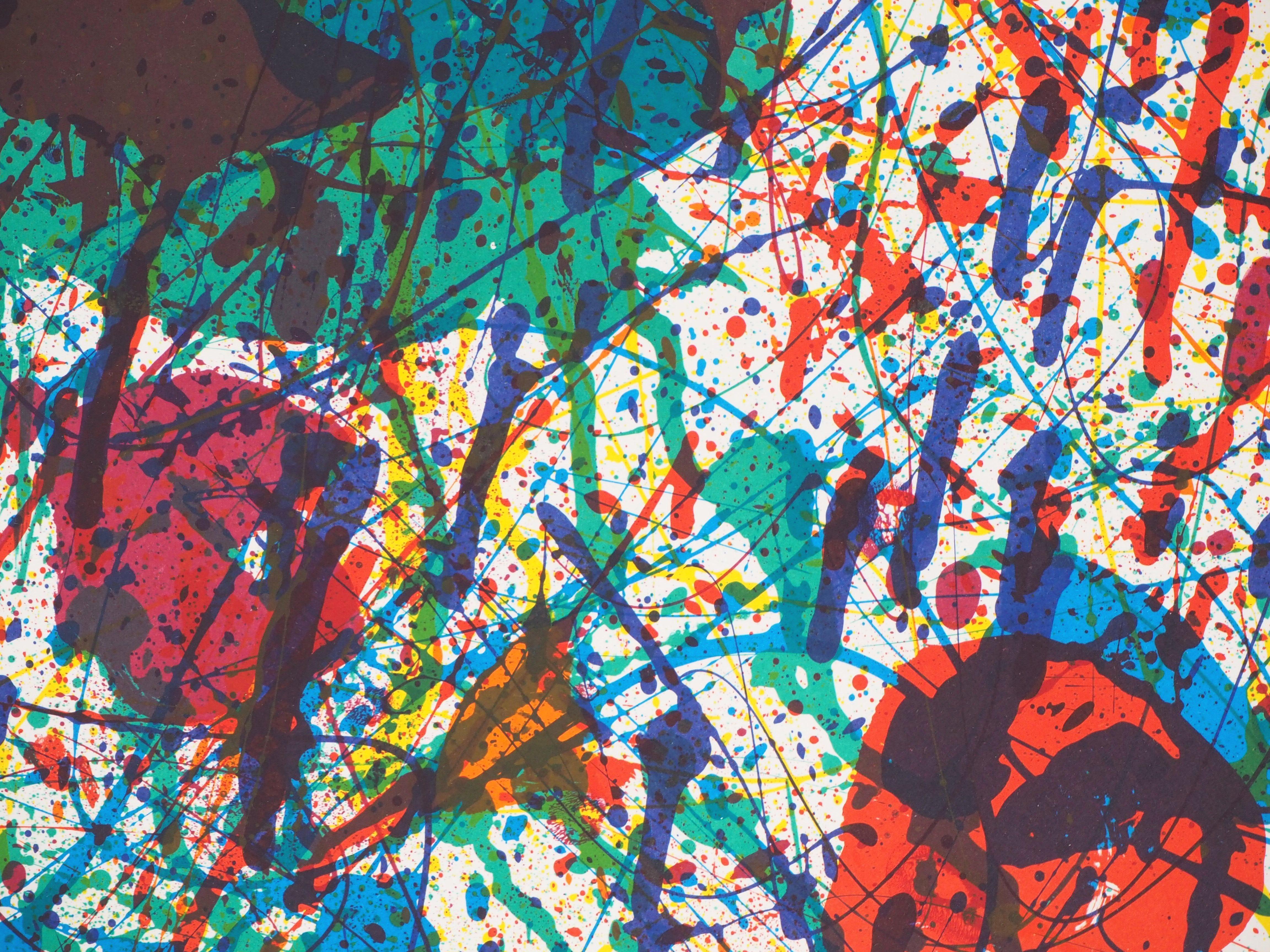 Color Explosion - Original lithograph (Maeght 1983) For Sale 1