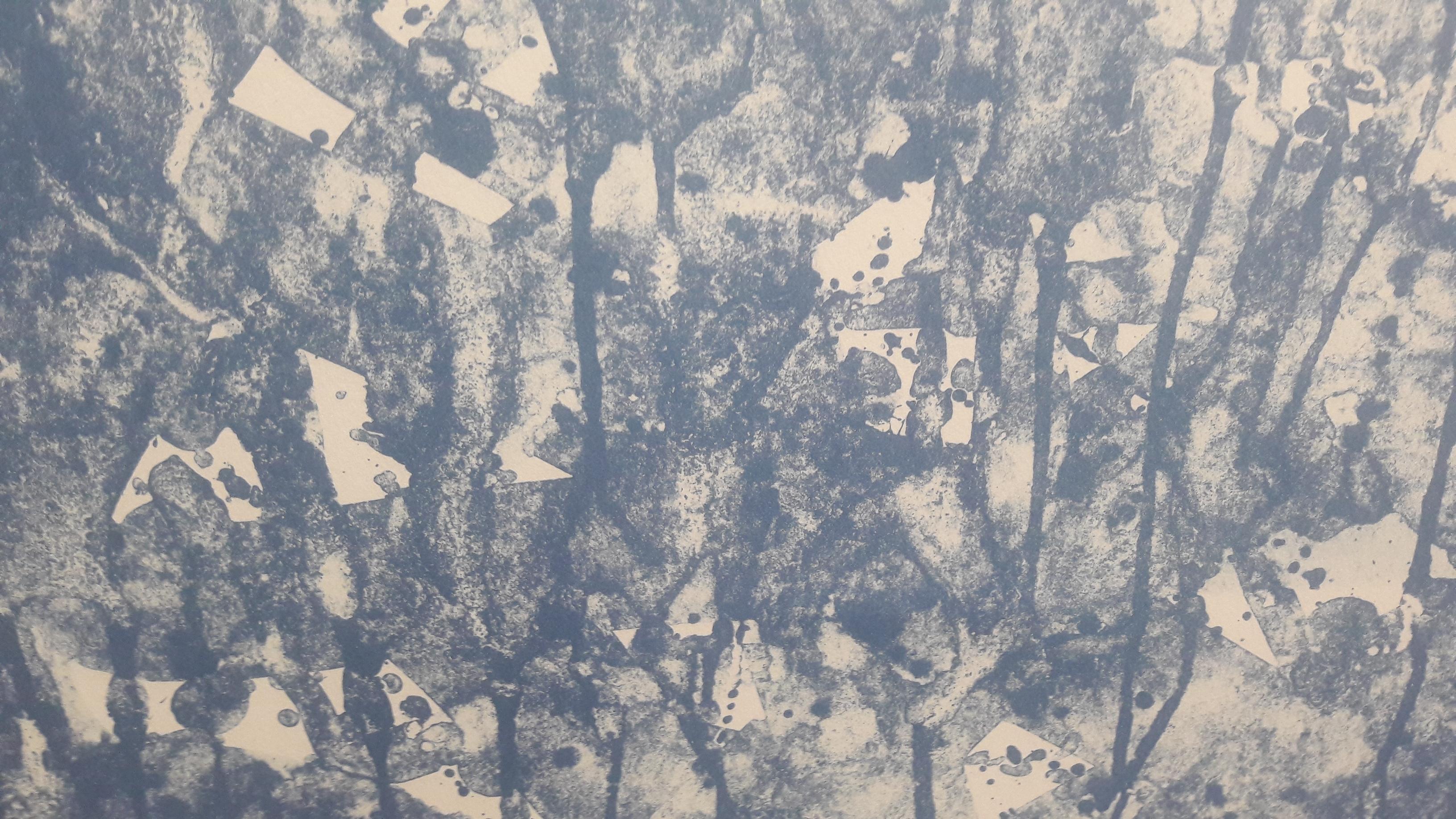 Papierski Portfolio Espresionismo astratto blu a secco Contemporaneo Decorativo in vendita 1