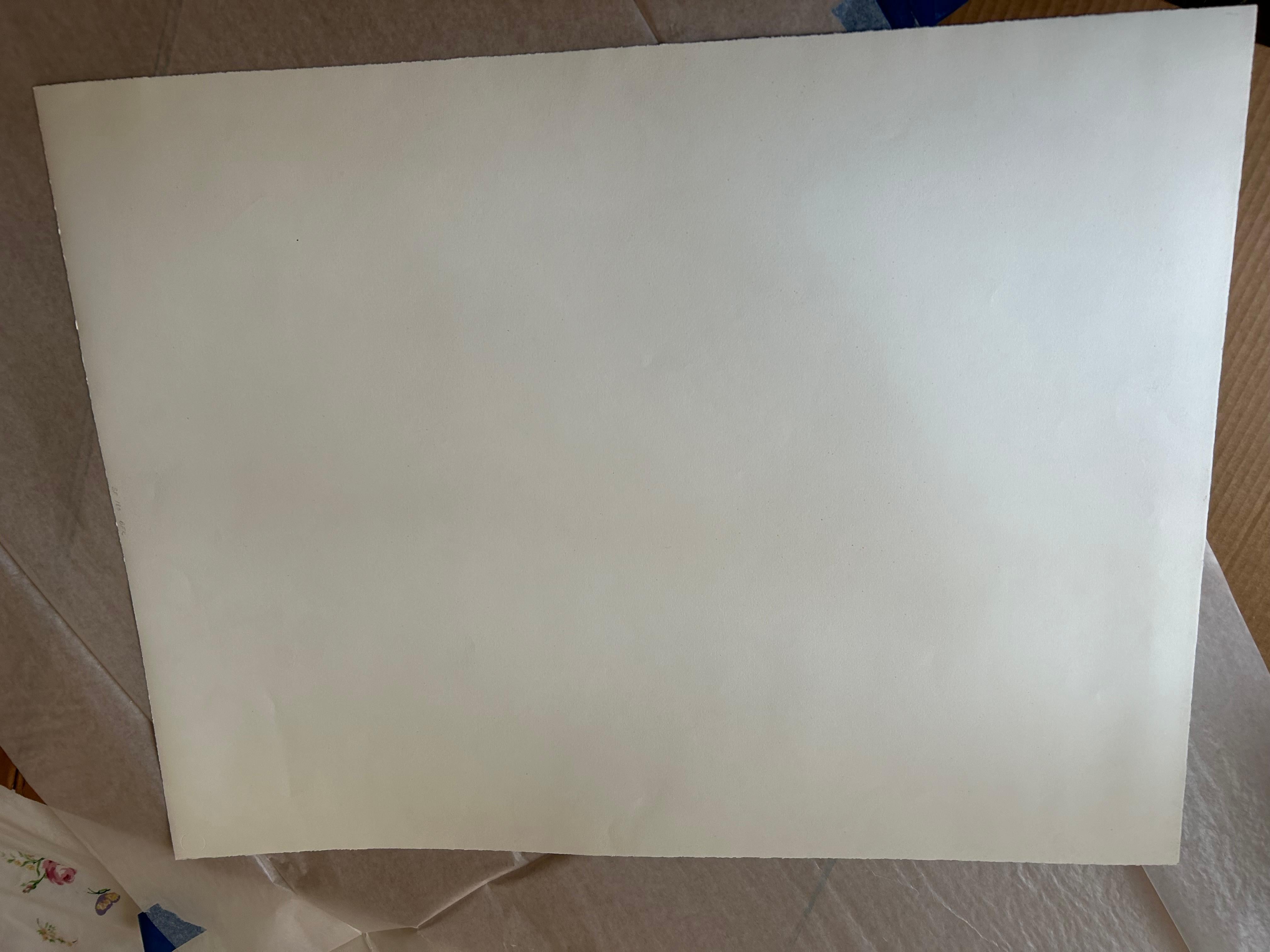 Smoke Sulphur SFE-183 For Sale 5