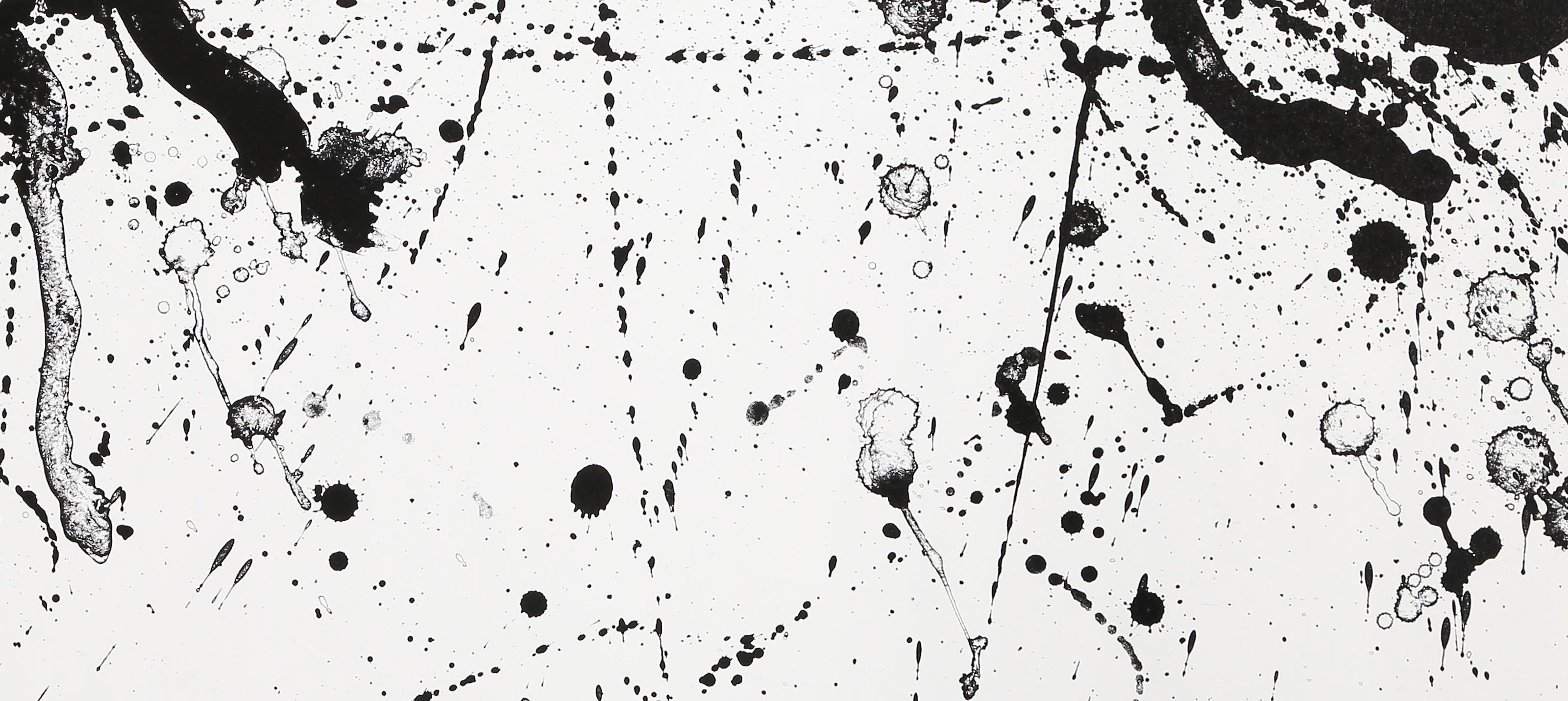 Untitled (P-5), Abstract Expressionist Poster by Sam Francis For Sale 2