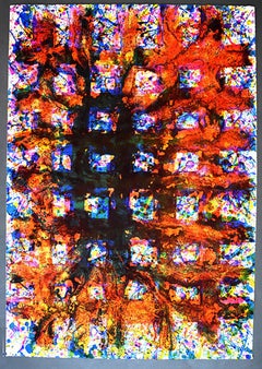 Untitled (SF-311), 1979