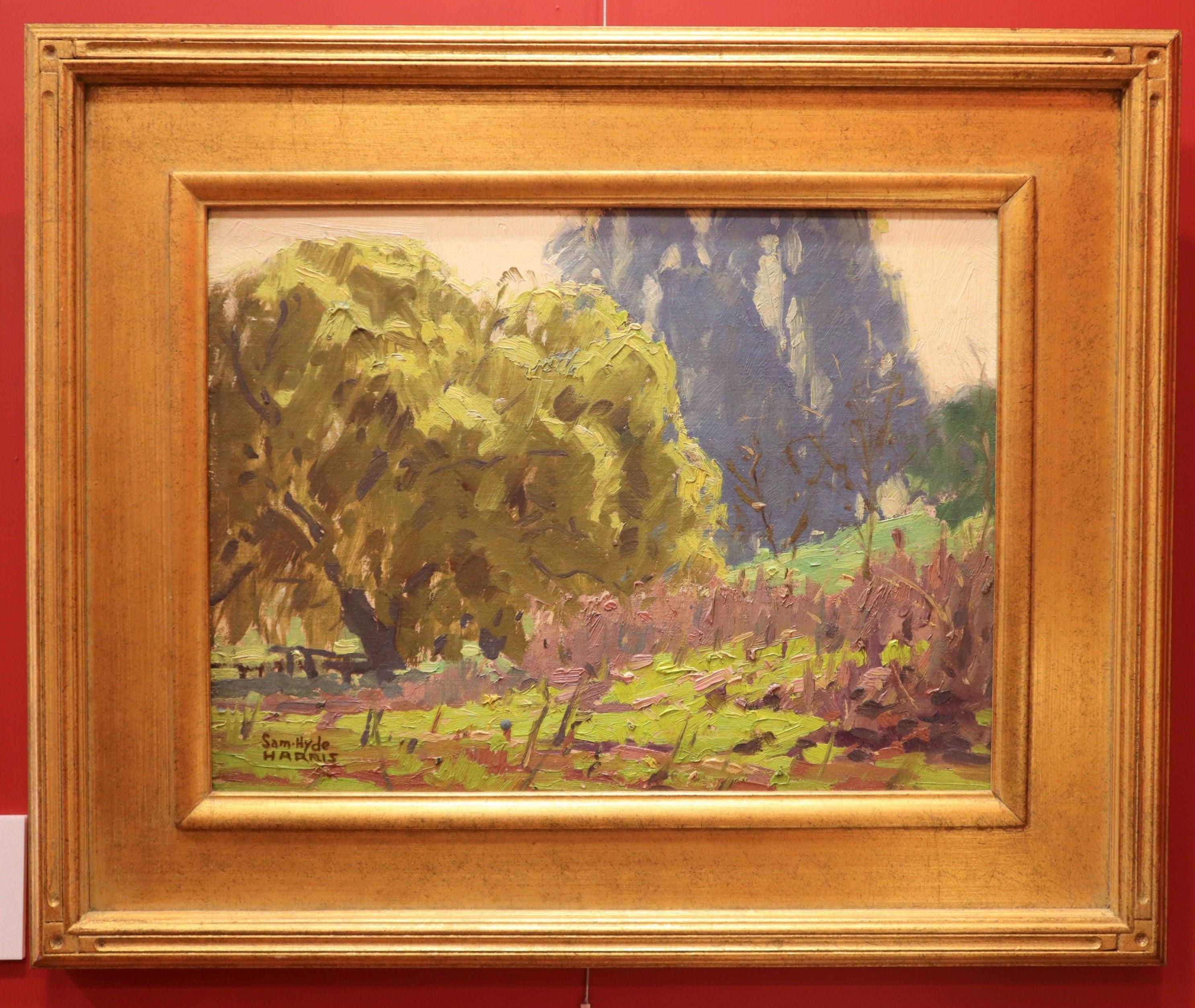 Central American American Impressionistic Landscape by Sam Hyde Harris For Sale