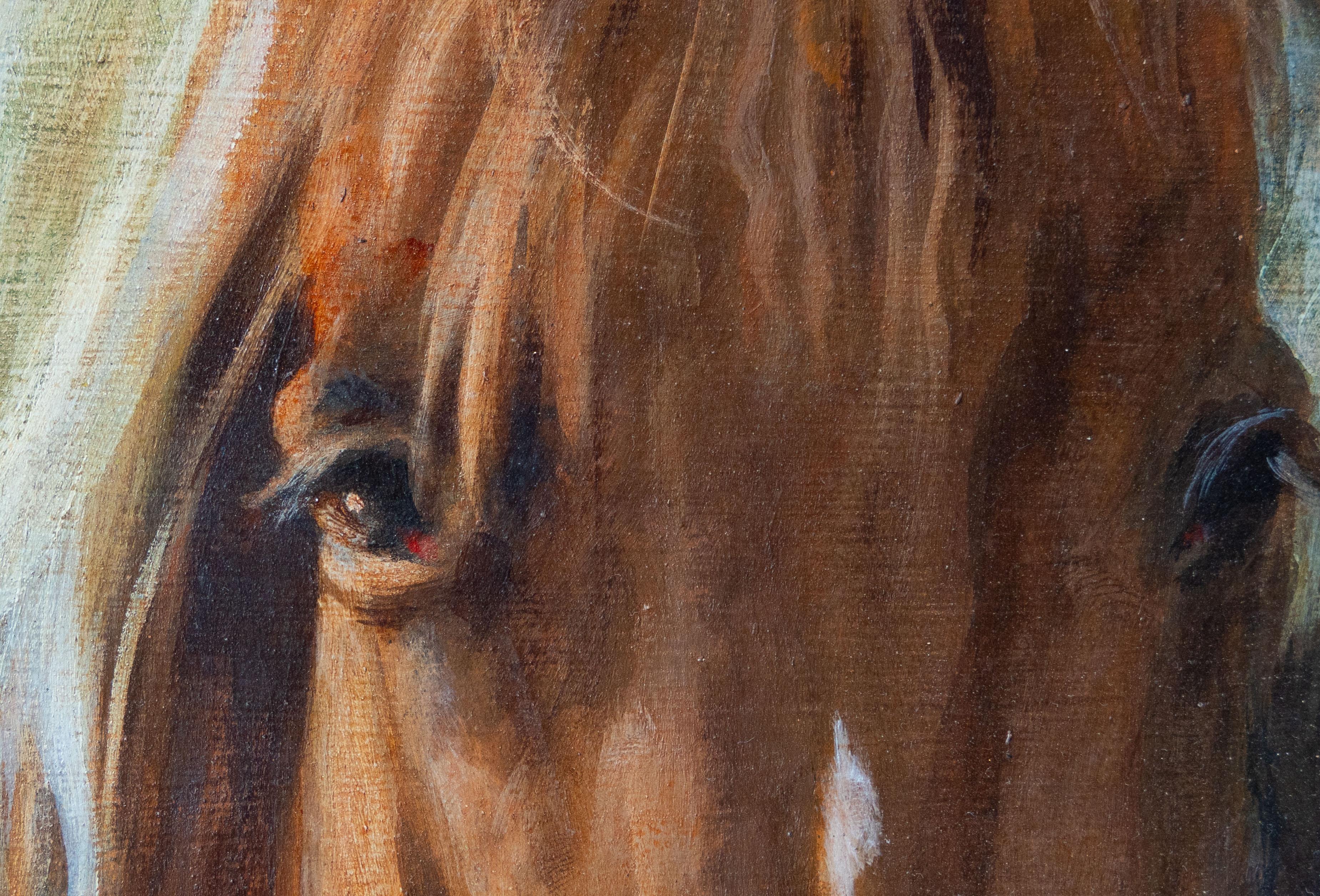 Studie der Köpfe zweier Shetlandponys (Grau), Animal Painting, von Sam Marriott