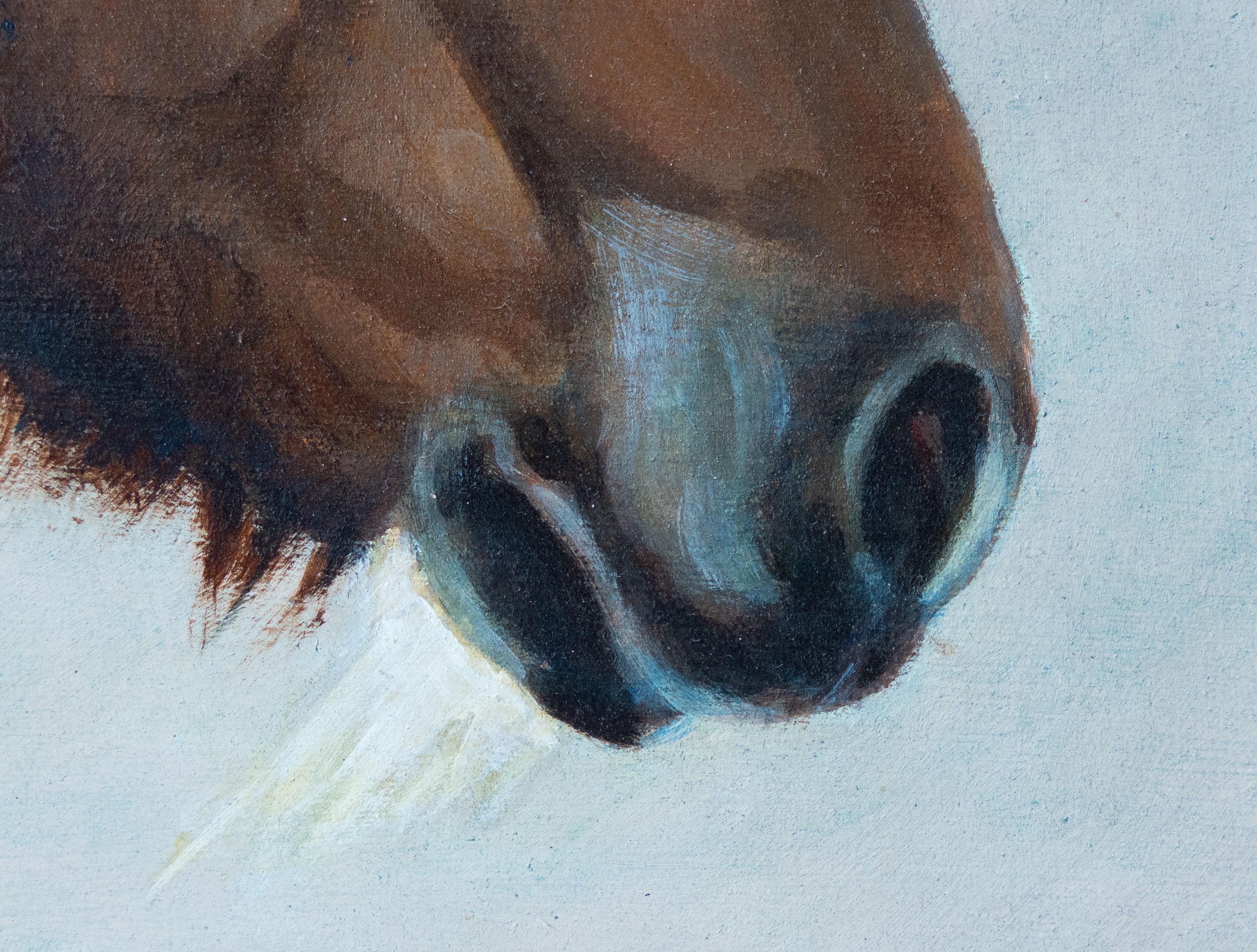 Studie der Köpfe zweier Shetlandponys im Angebot 1
