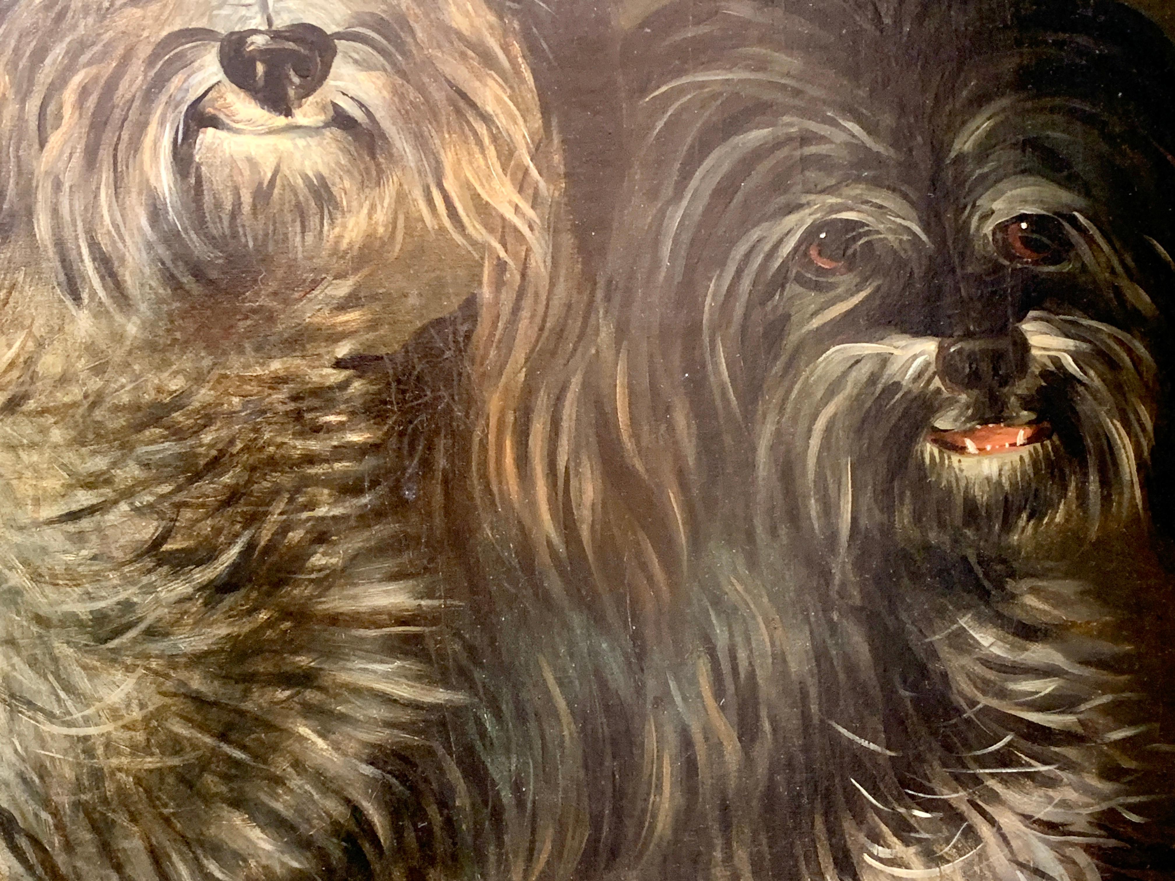 XIX secolo, irlandese o inglese Ritratto antico di due cani, cani da acqua - Animal Painting Marrone di Sam Spode