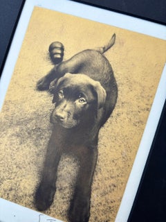 Charlie Dog - Tirage platine sur or 24K, édition limitée, My Luxury Photo