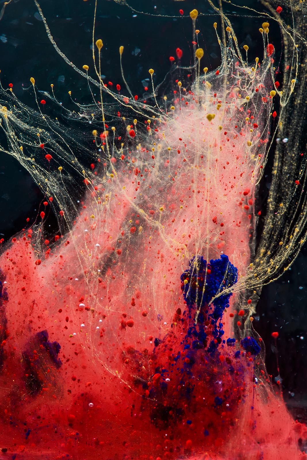 Explosion - Photographie couleur, Contemporary Limited edition print, Chaos - Noir Color Photograph par Sam Thomas