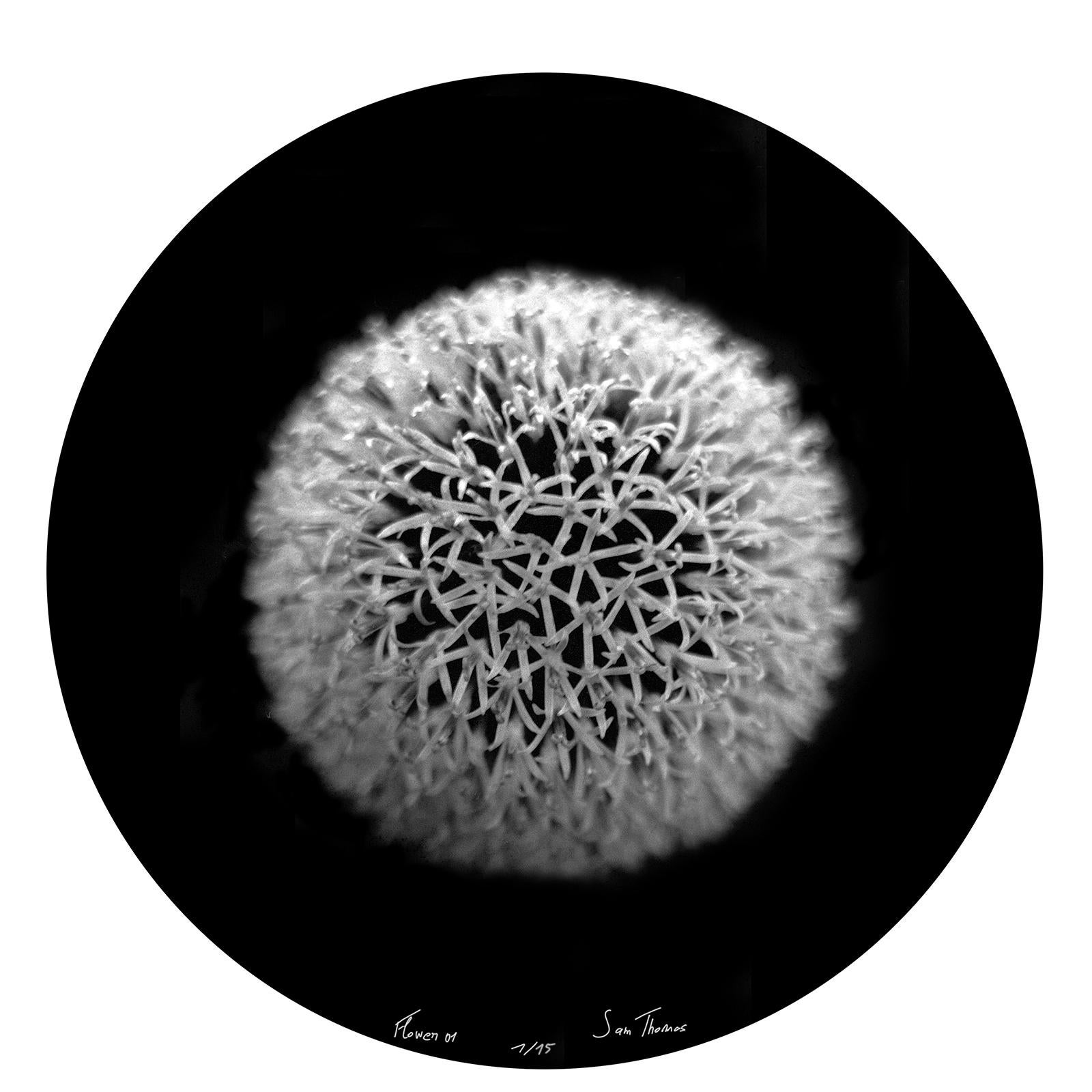 Sam Thomas Still-Life Photograph - Flower 1 - Round black white , Limited edition close-up, botanical Contemporary