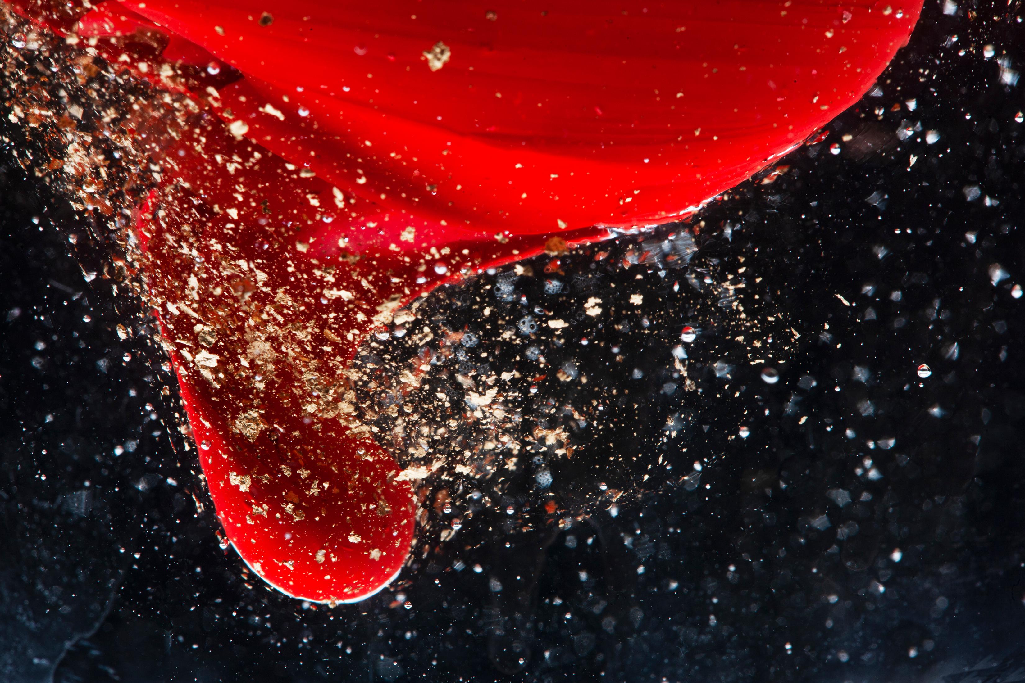 Sam Thomas Color Photograph - Golden Dream - Limited Edition Signed Archival Pigment Print, Contemporary