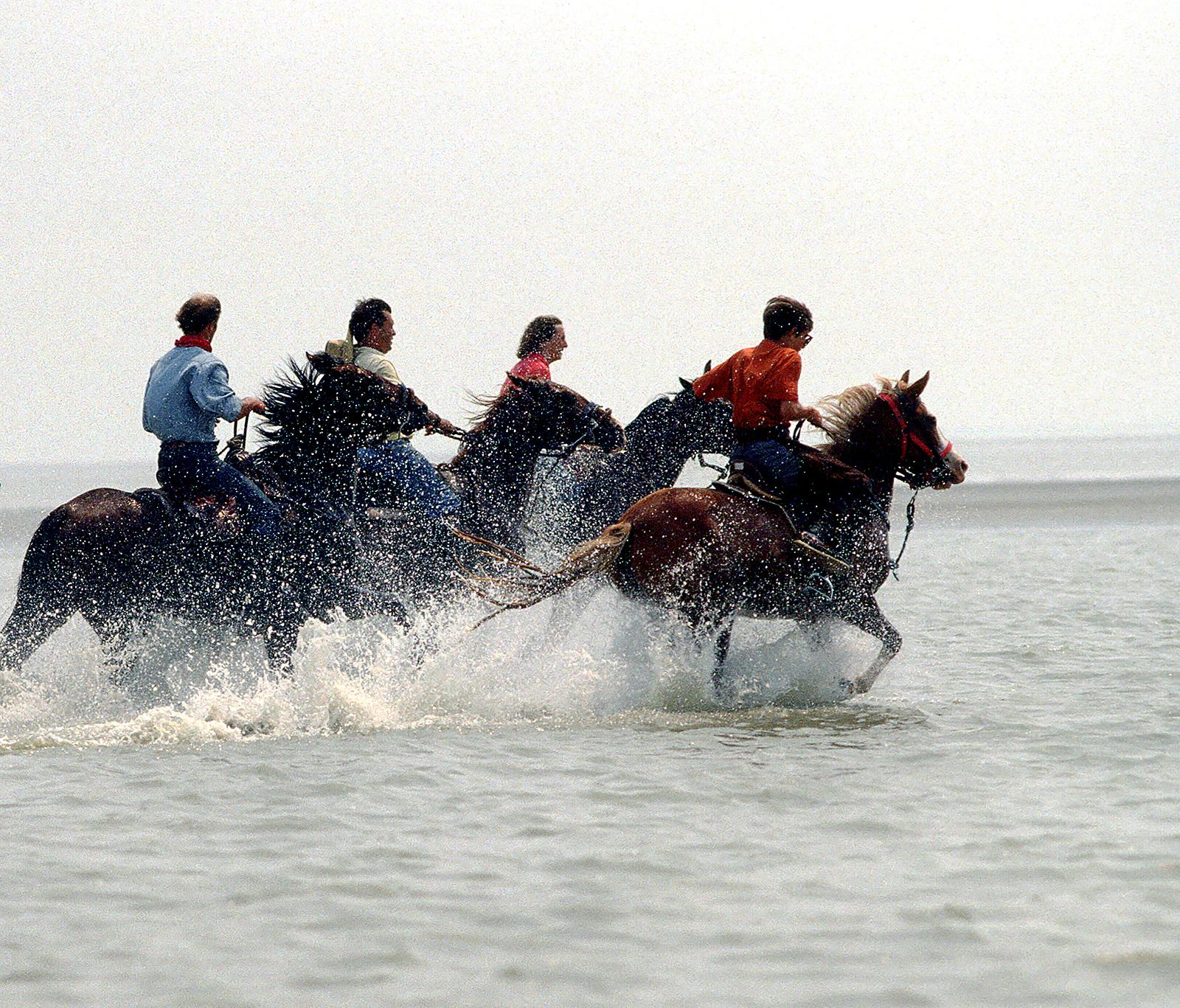 Horse riding - Farbfotografie, Druck in limitierter Auflage, Rennen bei aufsteigender Gezeiten (Zeitgenössisch), Photograph, von Sam Thomas