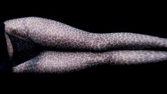 Legs - panorama, Contemporary Limited edition print, Woman with panther tights