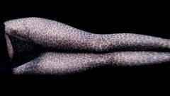 Legs - Contemporary Limited edition print, Sensual photography, Panties & tights