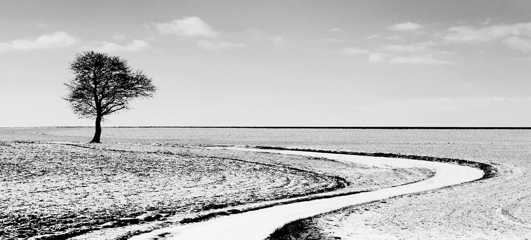 Quiet- Signed limited edition landscape fine art print, Contemporary black white - Photograph by Sam Thomas