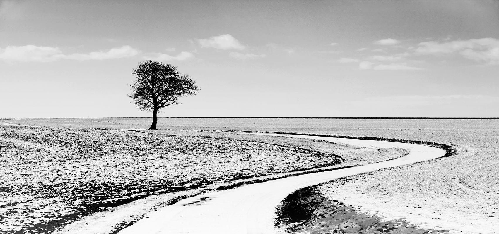 Sam Thomas Landscape Photograph – Quiet- Signierter Kunstdruck in limitierter Auflage, Contemporary schwarz-weiß