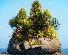 Digital Photography: 'Digital Summer'