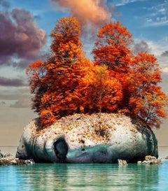 Digital Photography: "Digital Summer"