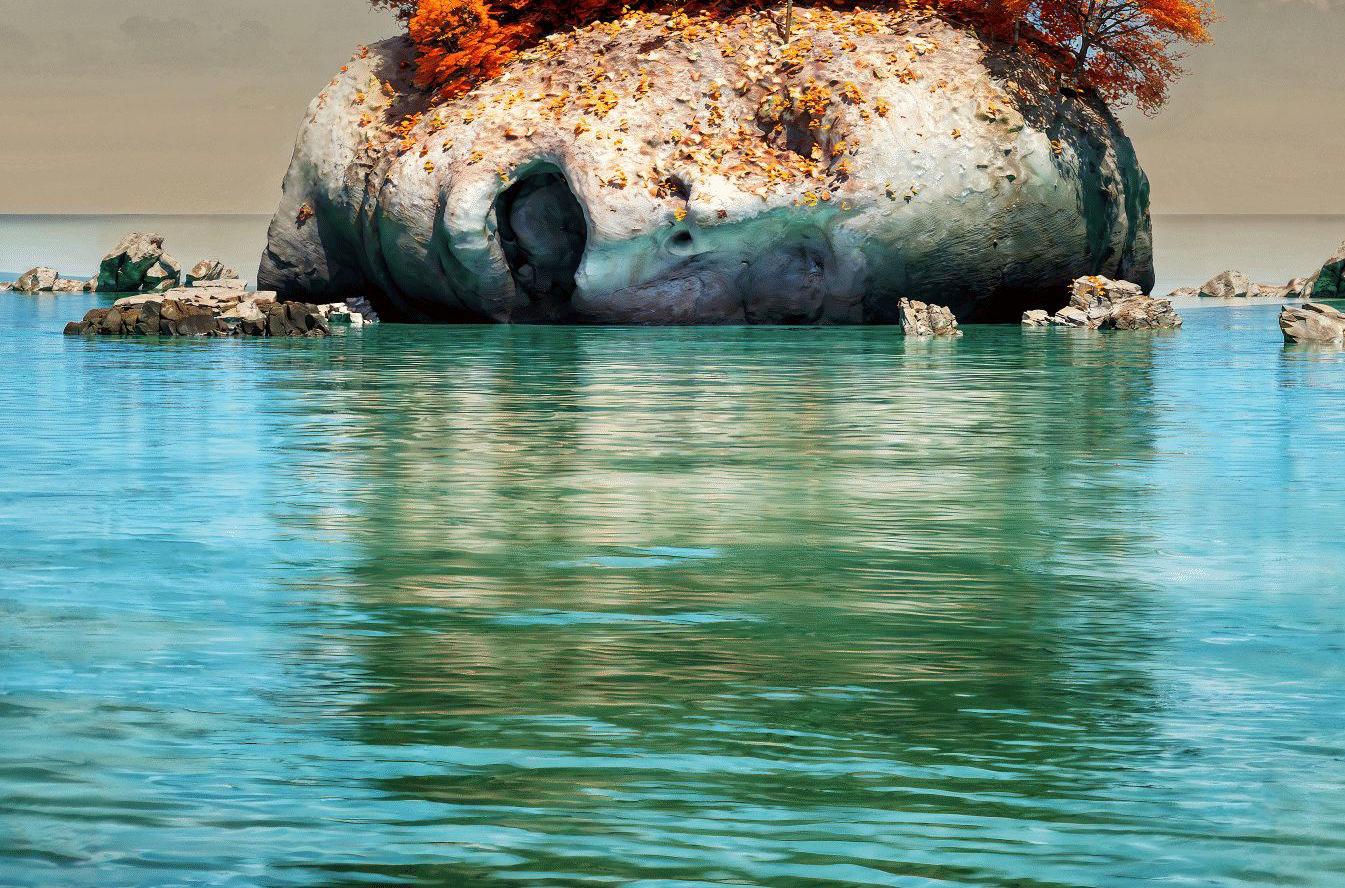 Digital Photography: 
