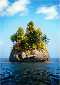Photographie numérique : « Digital Summer »