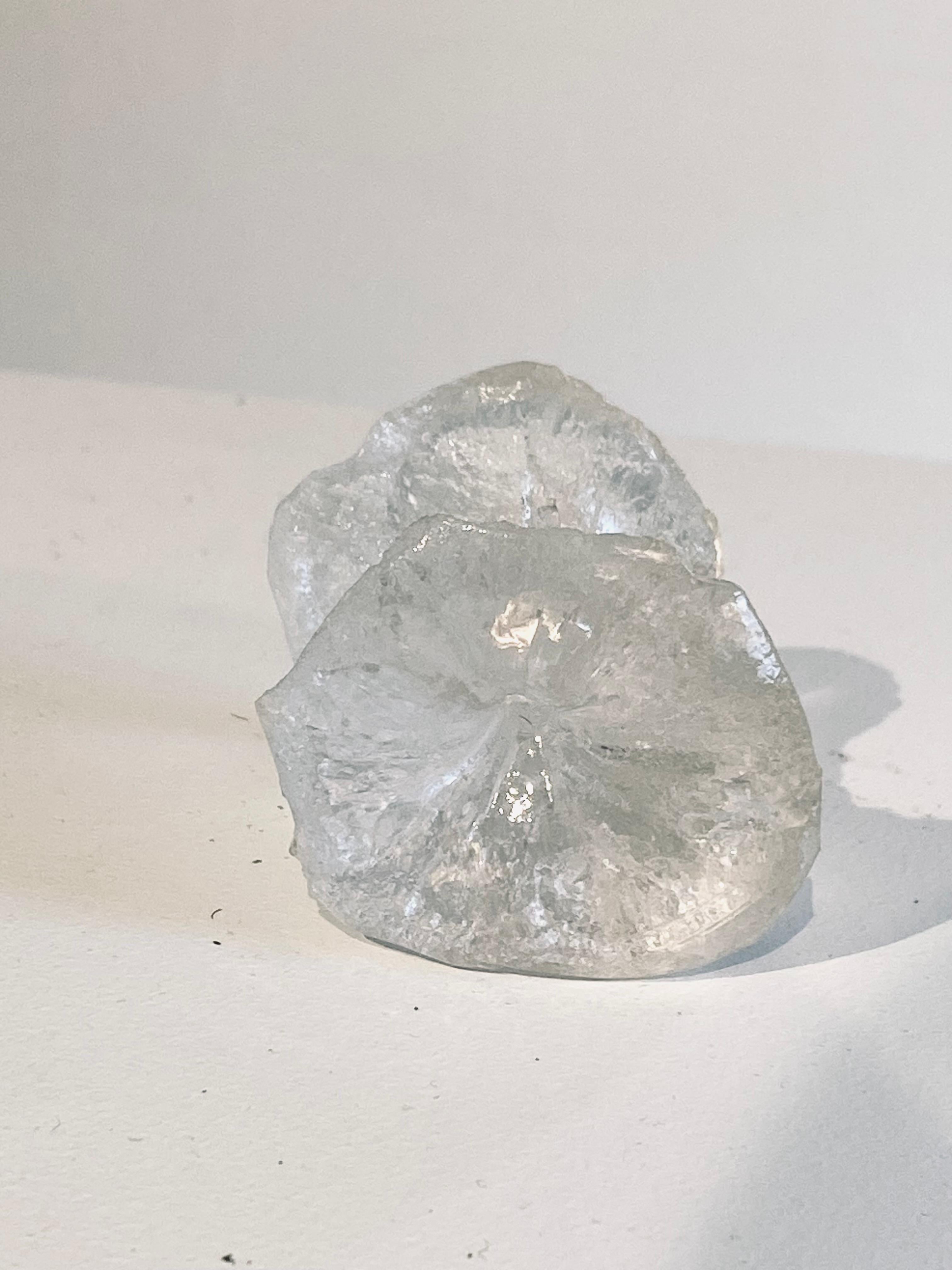 Mela in resina: 'Mela mangiata' - Sculpture Contemporaneo di Sam Tufnell