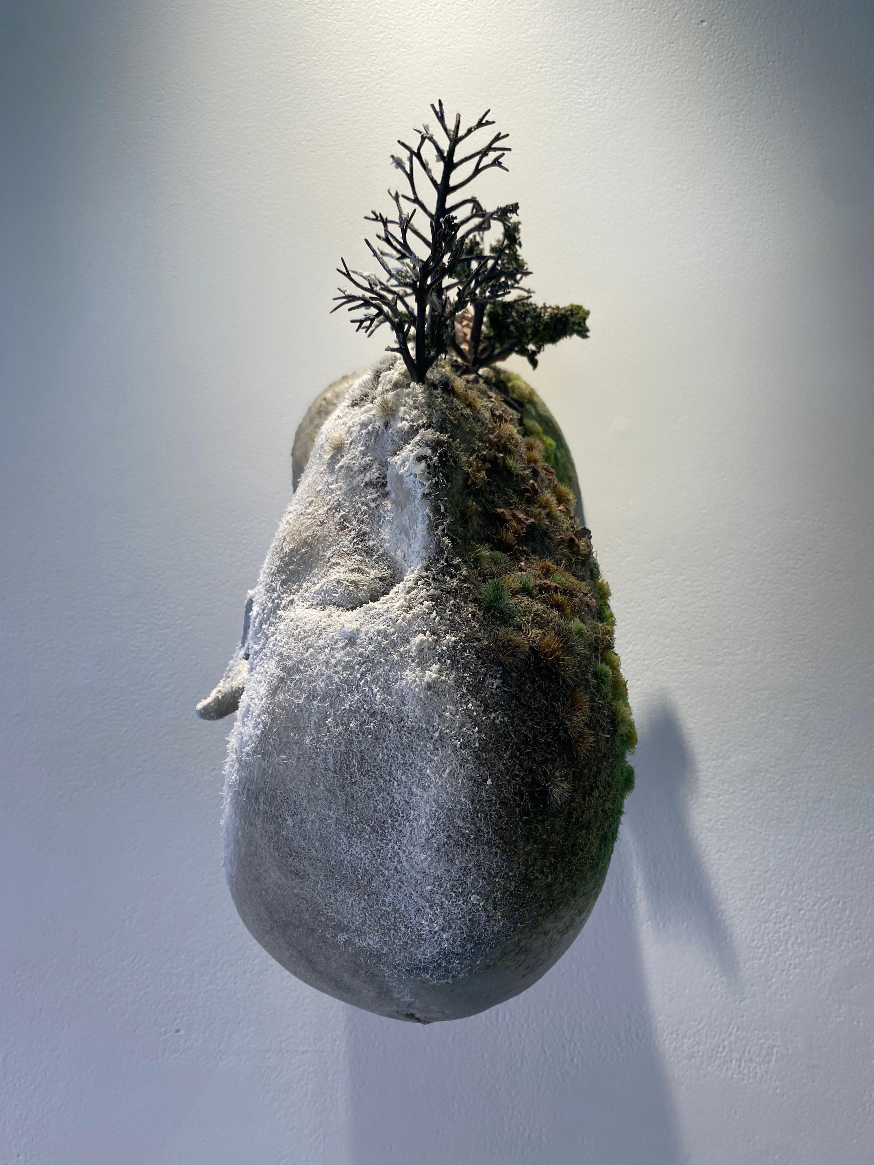 Scultura da parete: 'Self-Portrait febbraio' - Sculpture di Sam Tufnell