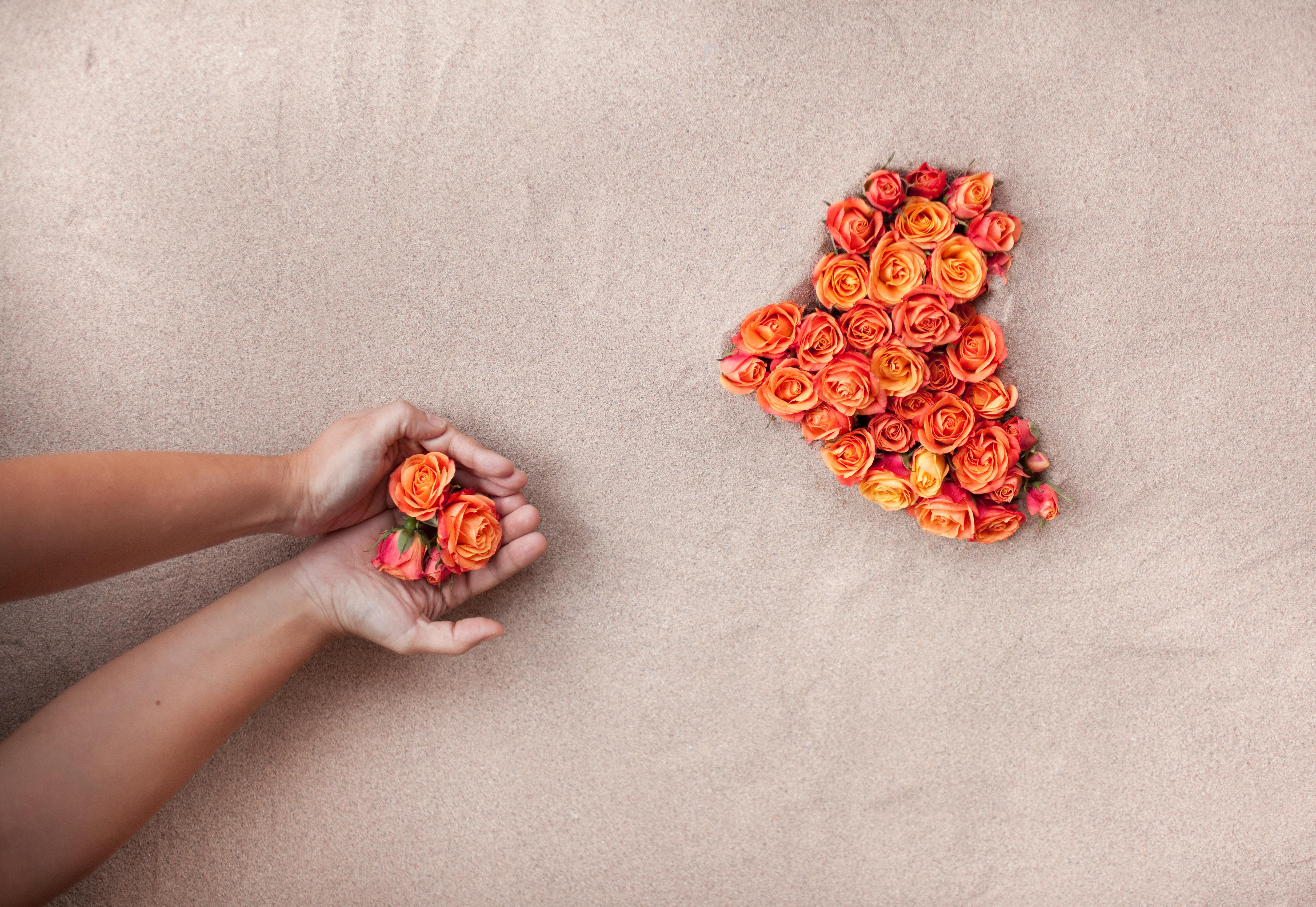 Sama Alshaibi Color Photograph - Sketch 17 (orange flowers)