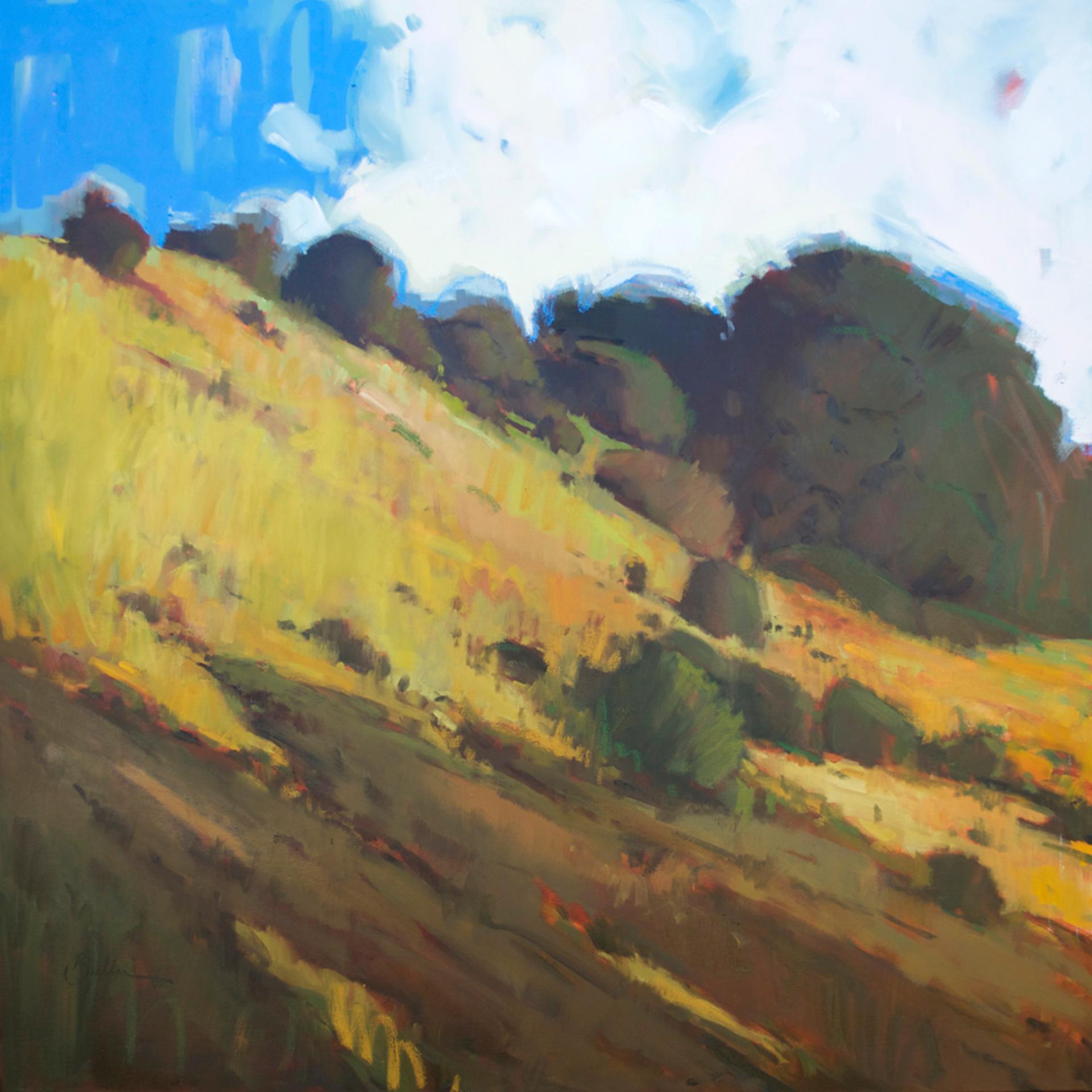 Samantha Buller Landscape Painting - The Foothills