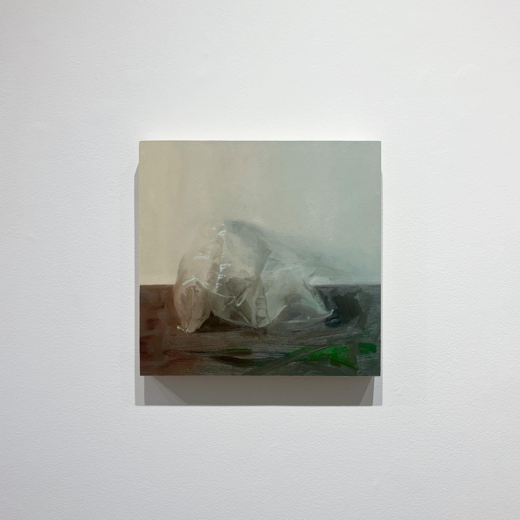 Samantha Haring, 