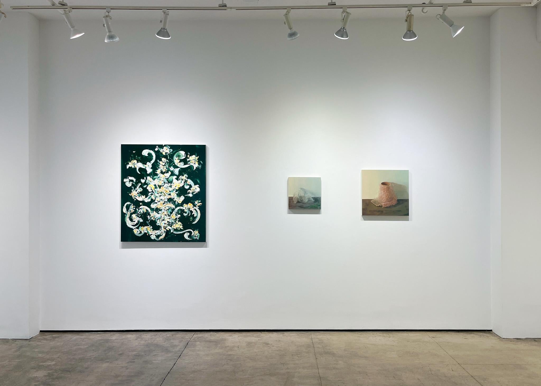 Samantha Haring 