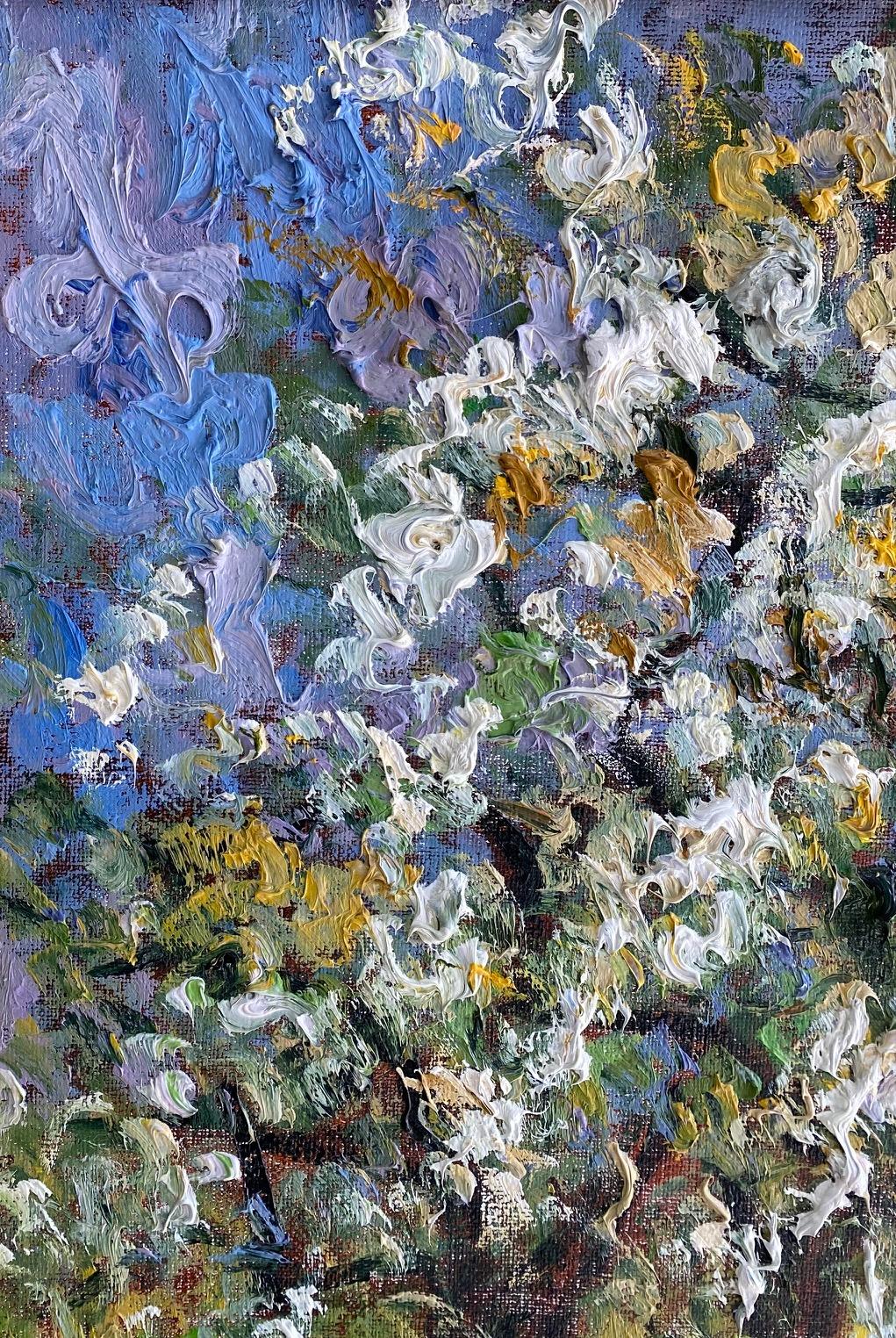 lily's garden samir