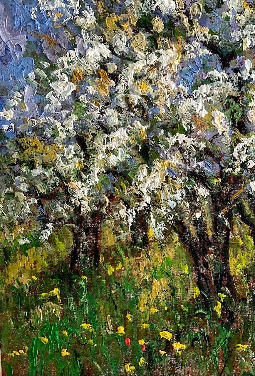 Pommiers en Fleurs St. Hilaire, original 24x30 French Impressionist landscape - Brown Landscape Painting by Samir Sammoun