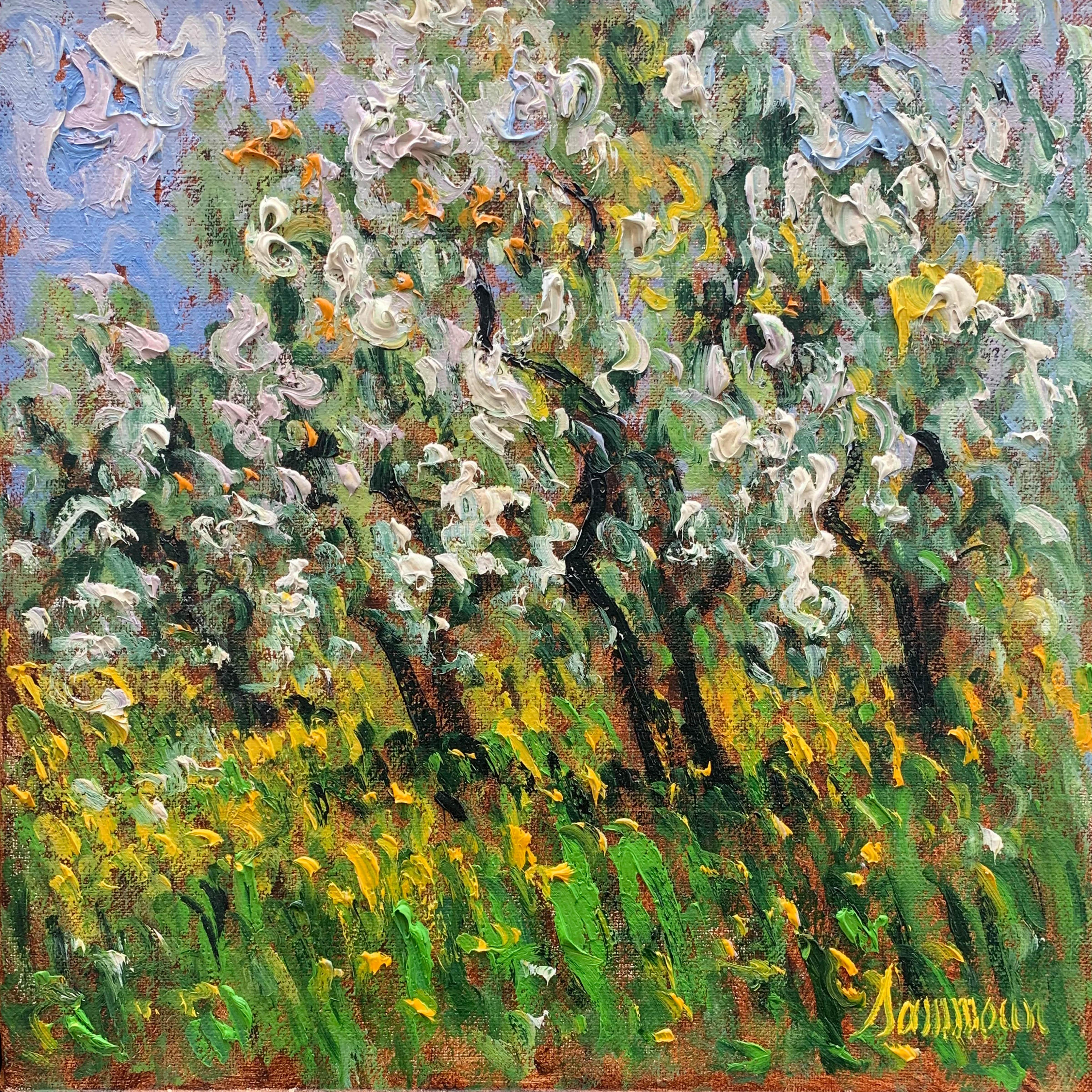 Pommiers en fleurs Ste Hilaire - Painting by Samir Sammoun