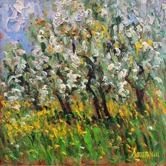 Pommiers en fleurs Ste Hilaire