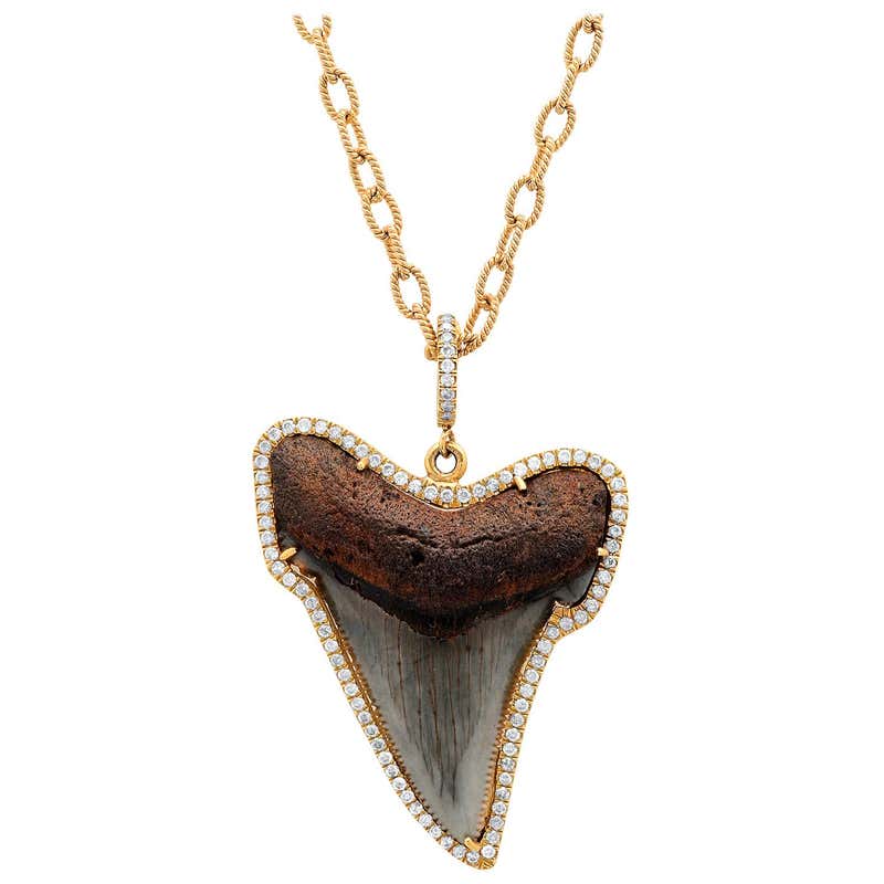 Where can i buy a shark tooth necklace Clearance