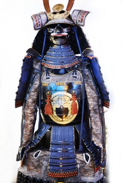 Armoiries de guerrier Samourai Yoroi Tosei Gusoku Fuji-Wara