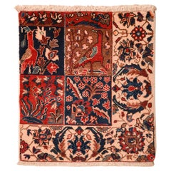 Sampler of Rug for Collection
