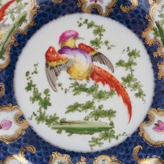 Samson Porcelain Exotic Bird Plate in the Worcester Taste Circa 1880