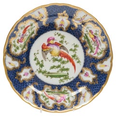 Samson Porcelain Exotic Bird Plate in the Worcester Taste Circa 1880