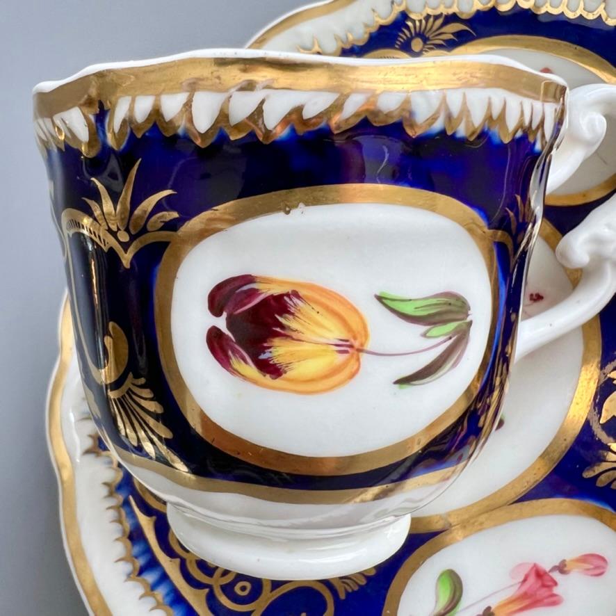 Tasse et soucoupe Samuel Alcock, bleu cobalt, vignes et fleurs dorées, vers 1825 en vente 1