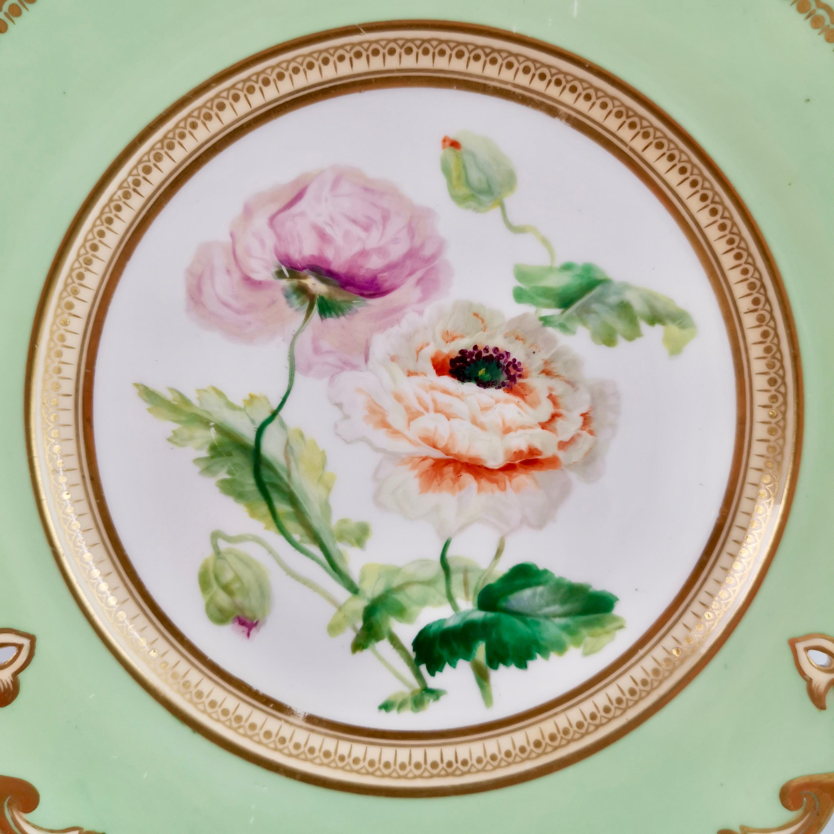 Victorian Samuel Alcock Dessert Plate, Pierced Rim, Pale Green, Named Ranunculus, ca 1855