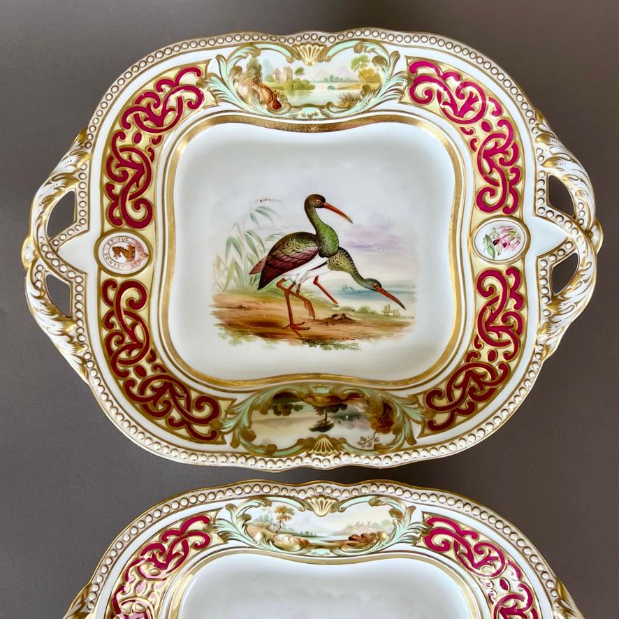 Samuel Alcock Dessert Service, Crested Alma Border with Birds, 1855 For Sale 4