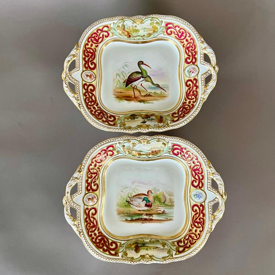 Hand-Painted Samuel Alcock Dessert Service, Crested Alma Border with Birds, 1855 For Sale