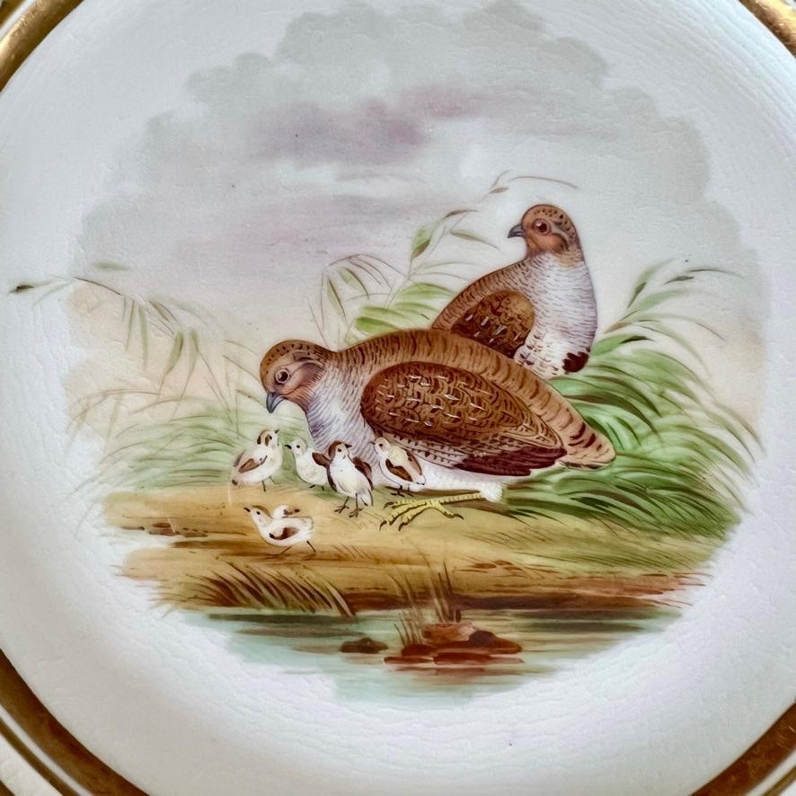 Porcelaine Service à dessert Samuel Alcock, bordure Alma crêtée avec oiseaux, 1855 en vente