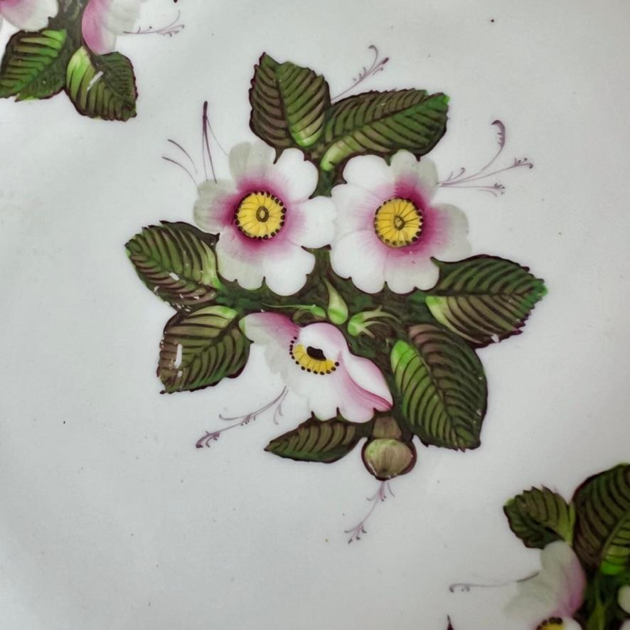 Samuel Alcock Fußkombi, geschmolzener Schnee, weiß mit Hundsrosen, um 1823 (Englisch) im Angebot