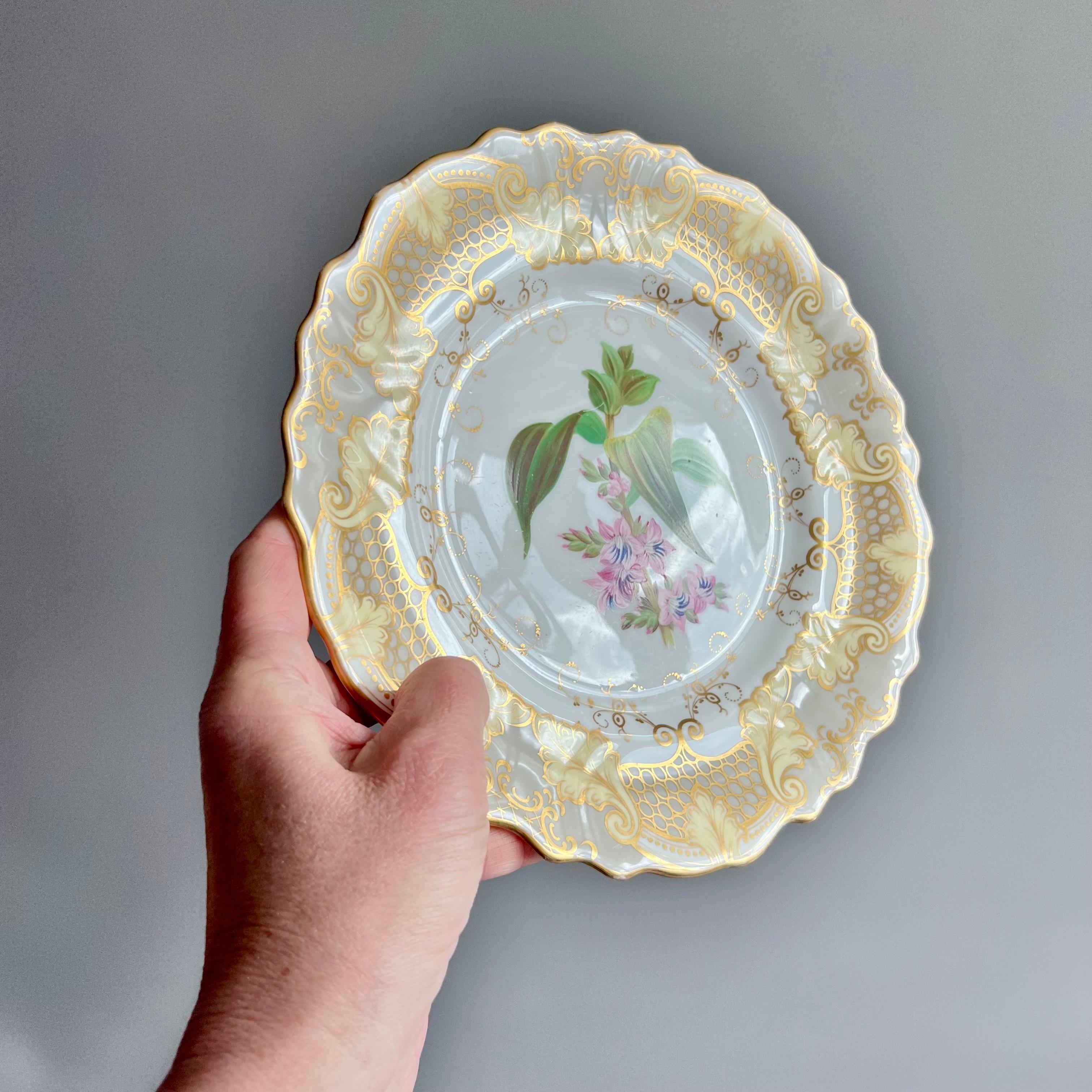 Plato Samuel Alcock, borde de acanto gris y beige, flor rosa, ca 1835 Renacimiento rococó en venta