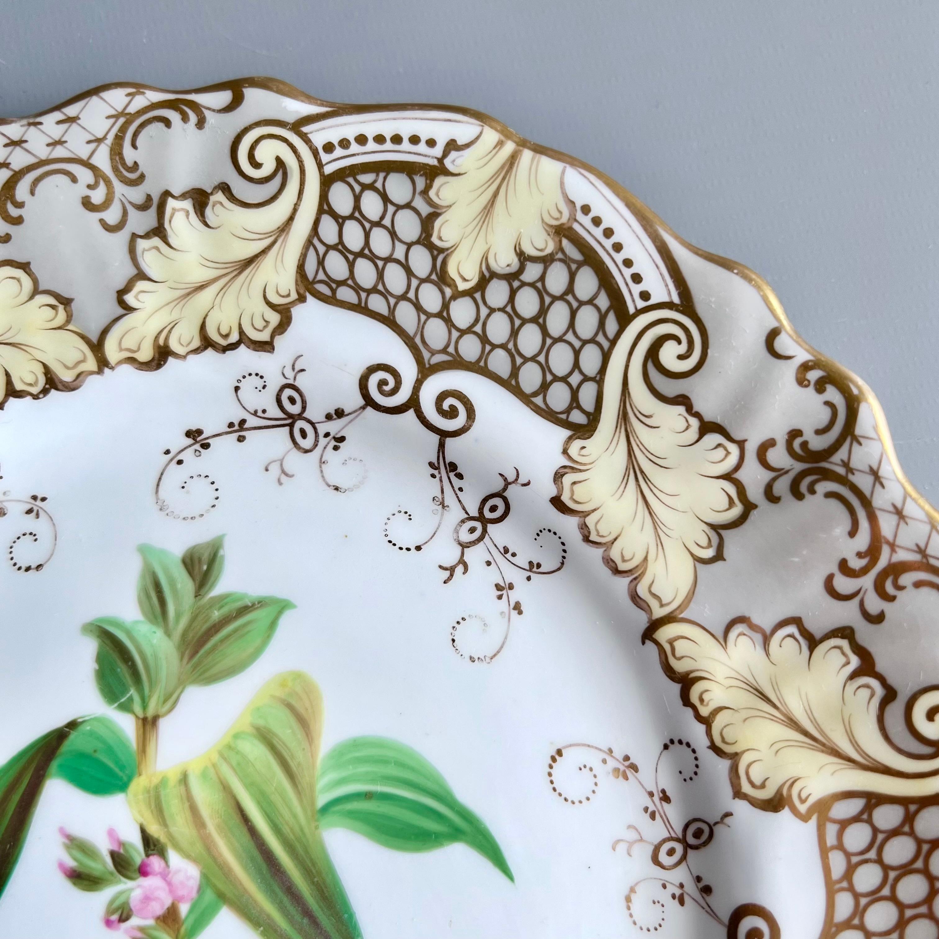 Plato Samuel Alcock, borde de acanto gris y beige, flor rosa, ca 1835 Pintado a mano en venta